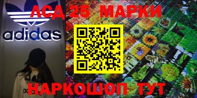 шишки Лесосибирск