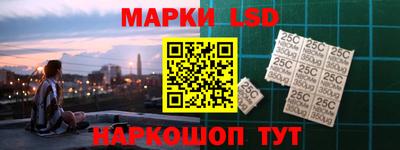 шишки Лесосибирск