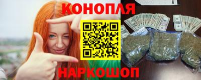 шишки Лесосибирск