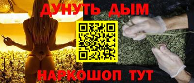 шишки Лесосибирск
