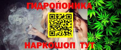 шишки Лесосибирск