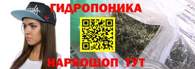 шишки Лесосибирск