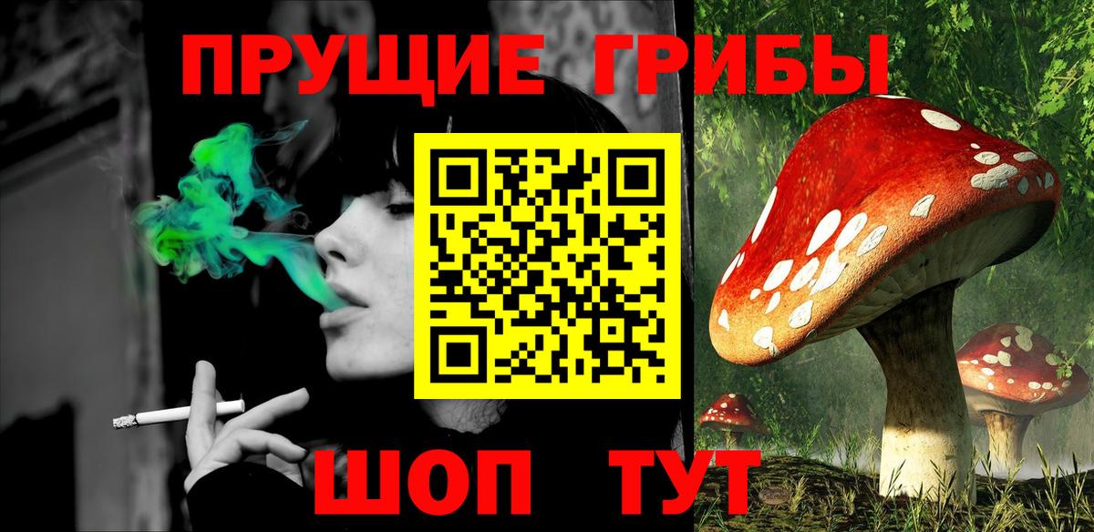закладка  Вход с VPN  Бугуруслан  Галлюциногенные грибы Magic Shrooms  Галлюциногенные грибы мухоморы 