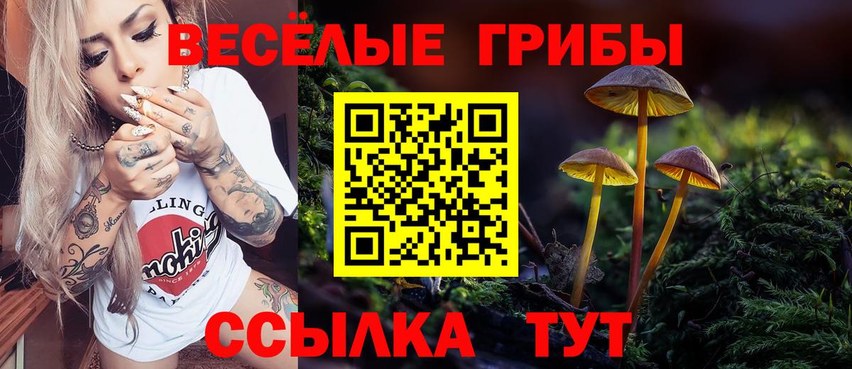 Галлюциногенные грибы Psilocybe Бугуруслан